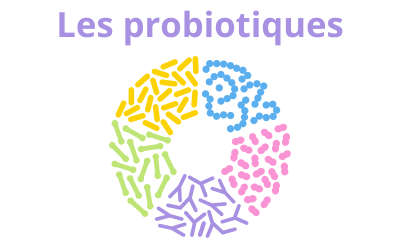 Les probiotiques